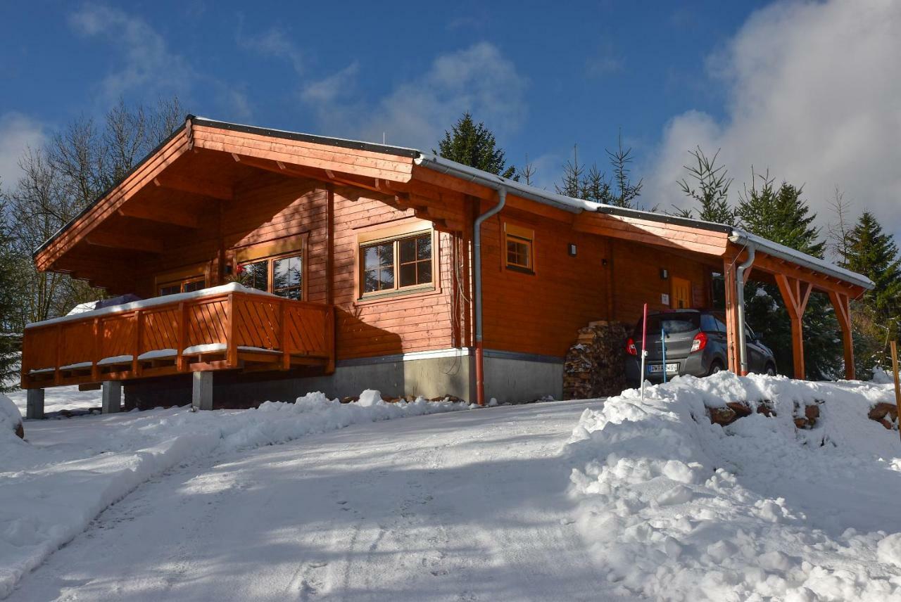 Erzgebirgsholzhaus Am Lugstein Villa Altenberg ภายนอก รูปภาพ